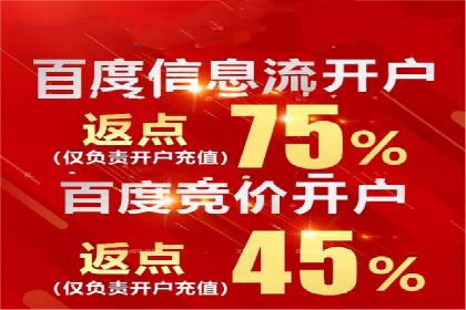 SEM公司案例研究：数据驱动营销策略